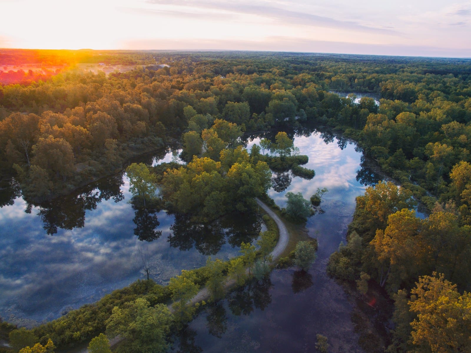 high angle photography of trees beside river
